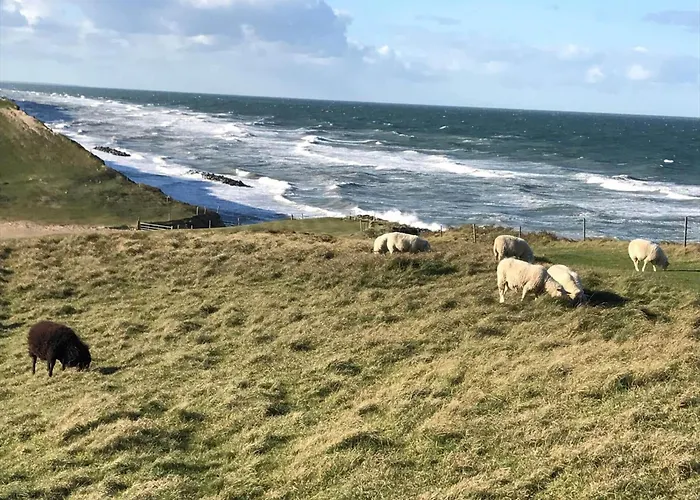 1669-vejby-noddevej-9 *